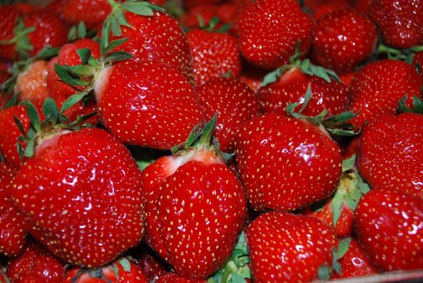 Yummy, fresh strawberries!